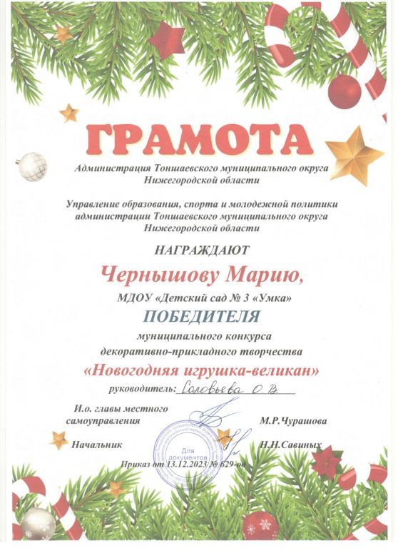 Игрушка-великан23-24 Чернышова М.jpg