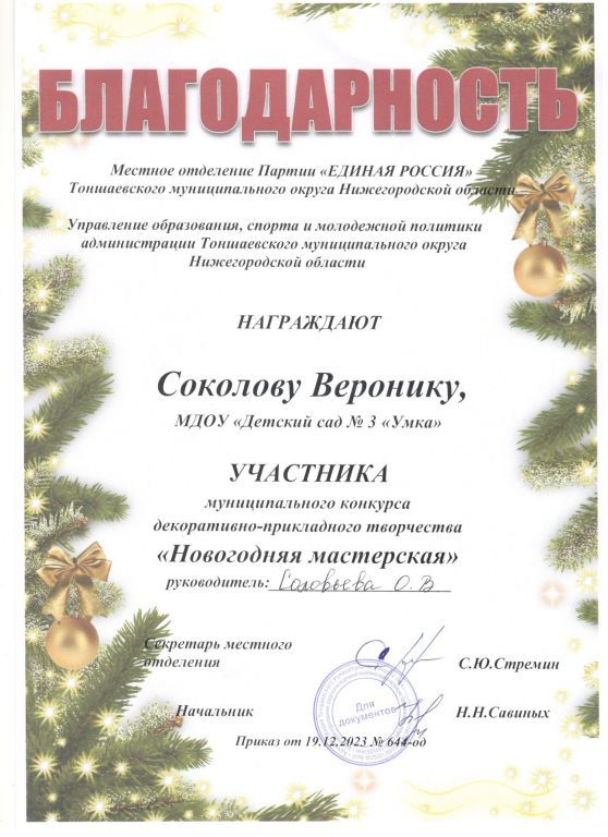 Новогодняя маст Соколова участник.jpg