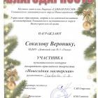 Новогодняя маст Соколова участник.jpg